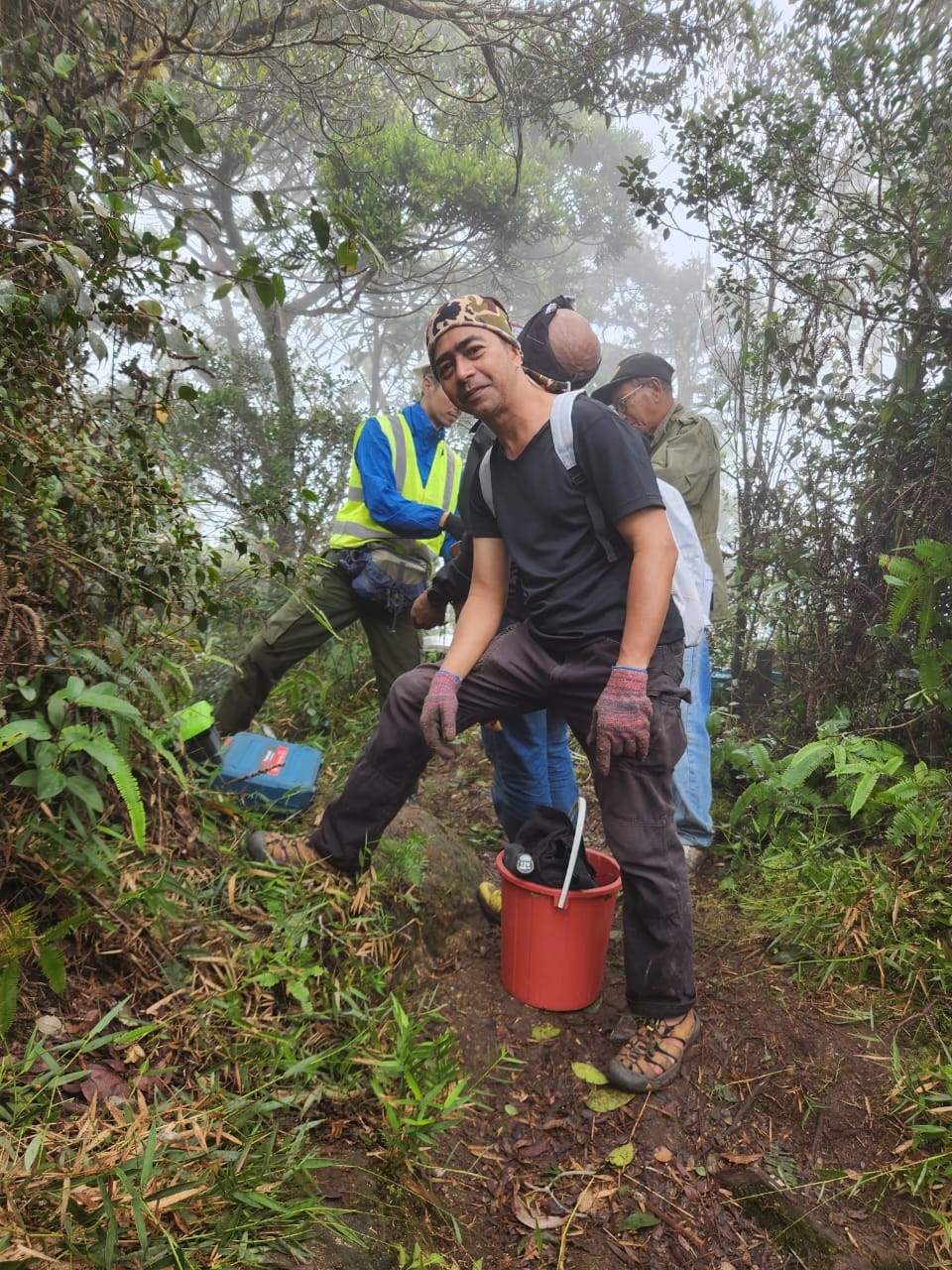 Gunung Ledang